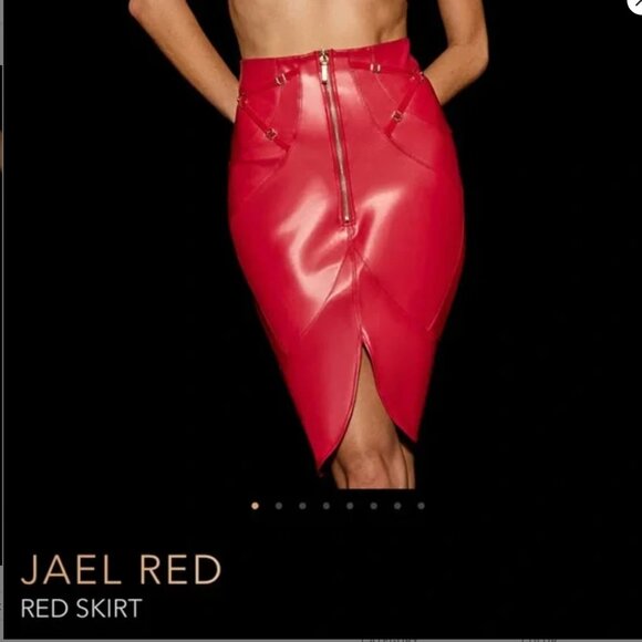 Honey Birdette Jael Red Faux Leather Skirt - Picture 2 of 4